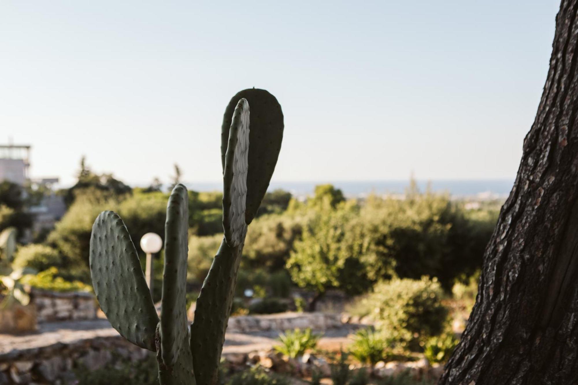 Monte Simeone Bed & Breakfast Polignano a Mare Ngoại thất bức ảnh